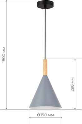 Потолочный светильник Evoluce SLE1255-423-01
