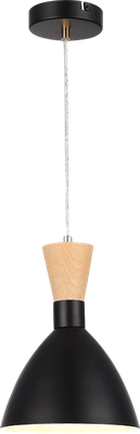 Потолочный светильник Evoluce SLE1256-403-01 - фото