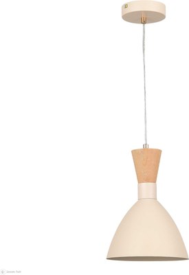 Потолочный светильник Evoluce SLE1256-503-01