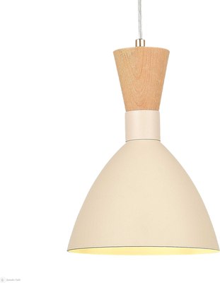 Потолочный светильник Evoluce SLE1256-503-01