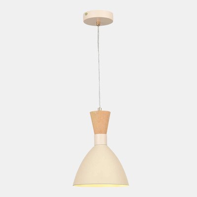 Потолочный светильник Evoluce SLE1256-503-01