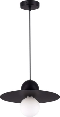 Потолочный светильник Evoluce SLE1257-443-01 - фото