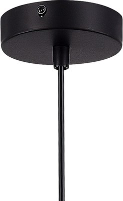 Потолочный светильник Evoluce SLE1257-443-01