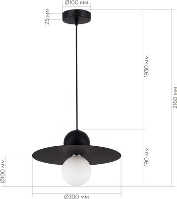 Потолочный светильник Evoluce SLE1257-443-01