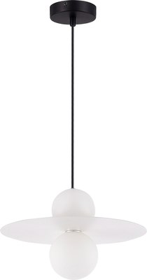 Потолочный светильник Evoluce SLE1257-453-01 - фото