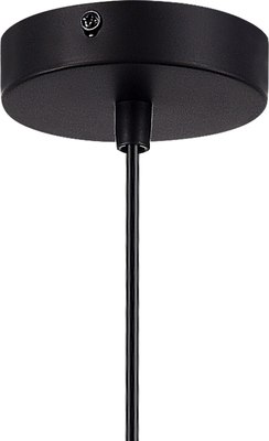 Потолочный светильник Evoluce SLE1257-453-01