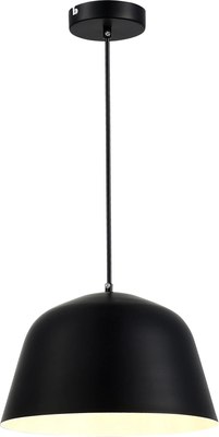 Потолочный светильник Evoluce SLE1805-403-01 - фото