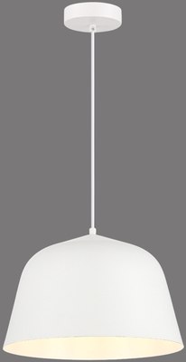 Потолочный светильник Evoluce SLE1805-503-01 - фото