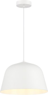 Потолочный светильник Evoluce SLE1805-503-01