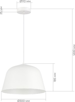 Потолочный светильник Evoluce SLE1805-503-01