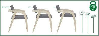 Стул детский Элегия Скандик