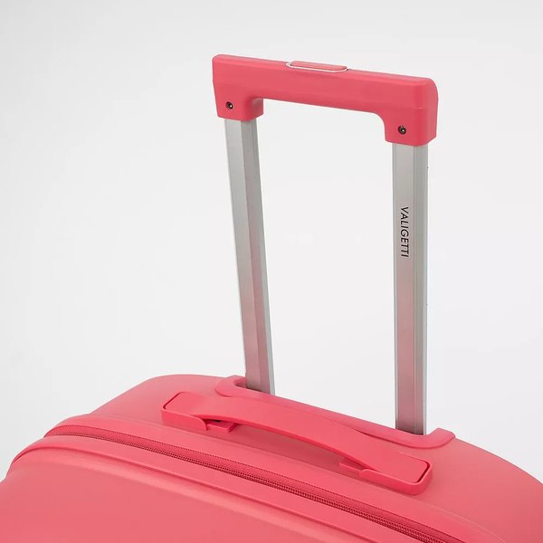 Чемодан на колесах Valigetti 344-2201/2-24PNK
