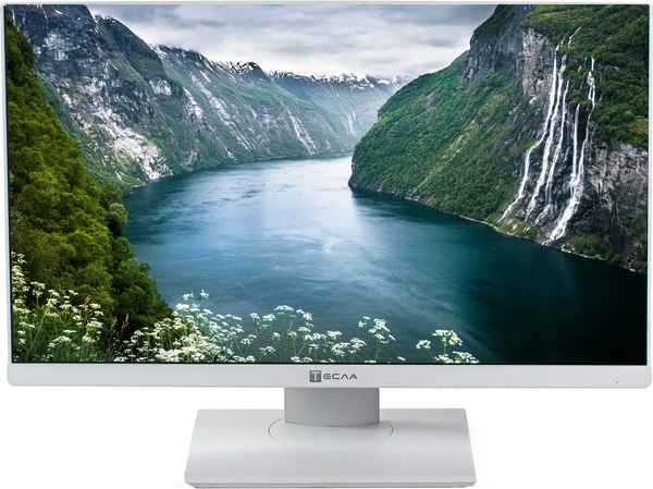 Моноблок Тесла P27WPQ / 2416500