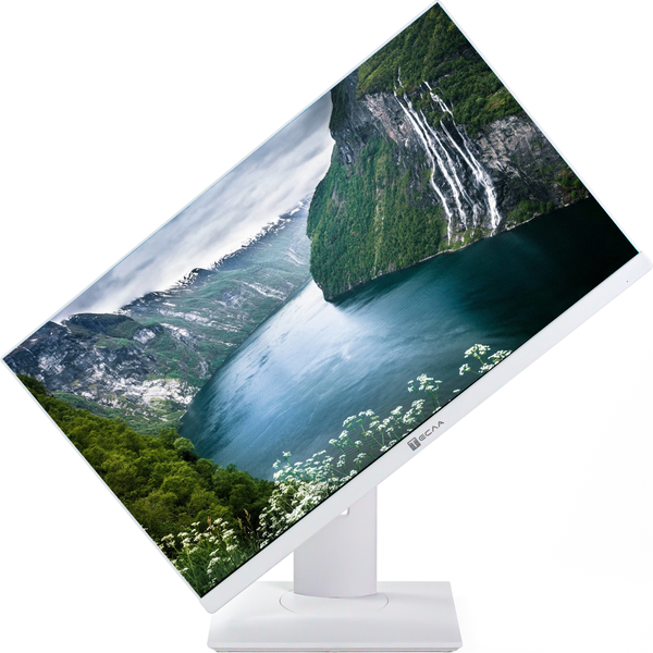 Моноблок Тесла P27WPQ / 2416500