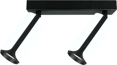 Спот General Lighting GWL-2GU10-M-IP20 / 661711 - фото