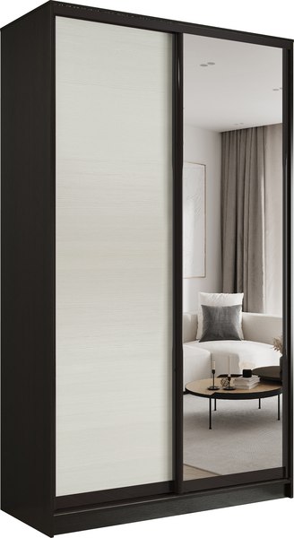 Шкаф-купе Евва 120 VBG.12 / АЭП ШК.2 03 - фото