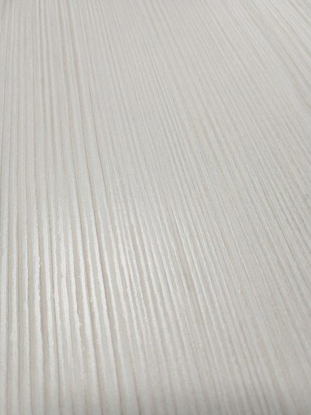 Шкаф-купе Евва 120 VBG.12 / АЭП ШК.2 03