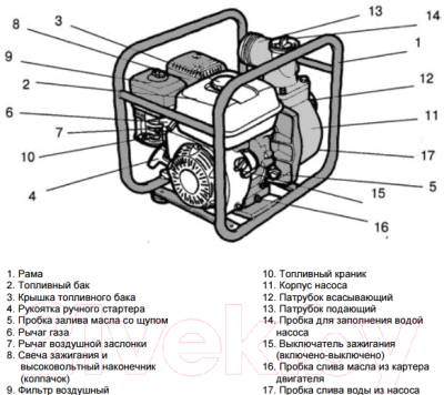 Мотопомпа Eco WP-1204C