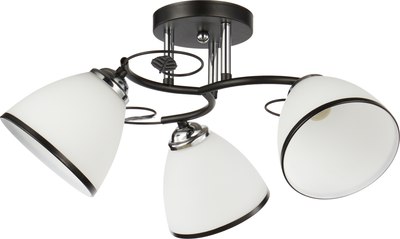 Потолочный светильник Mirastyle WX-10138/3 BK+CR - фото