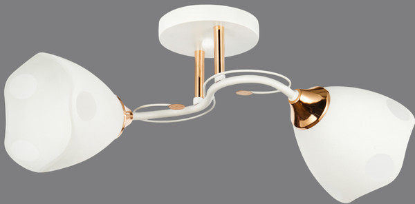 Потолочный светильник Mirastyle WX-6104/2 WH+FGD - фото