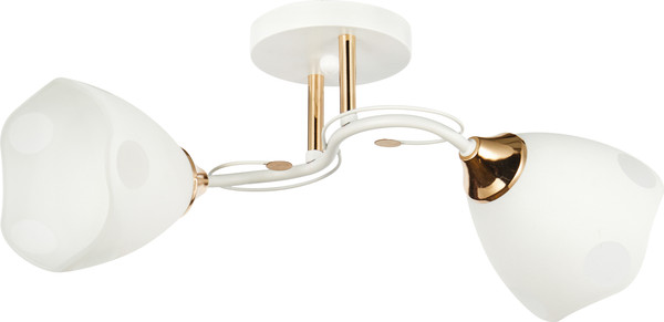 Потолочный светильник Mirastyle WX-6104/2 WH+FGD