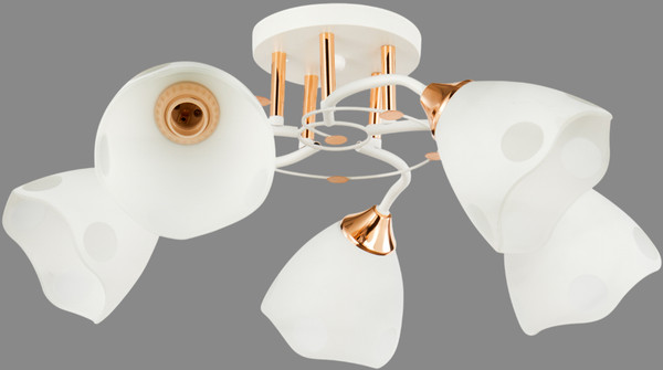 Потолочный светильник Mirastyle WX-6104/5 WH+FGD - фото