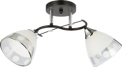 Потолочный светильник Mirastyle WX-6116/2 BK+CR - фото