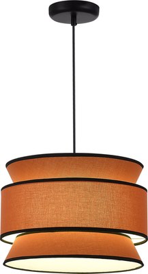 Потолочный светильник ST Luce SL1354.403.01 - фото