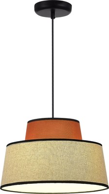 Потолочный светильник ST Luce SL1354.423.01 - фото