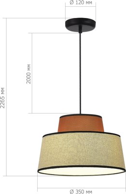 Потолочный светильник ST Luce SL1354.423.01