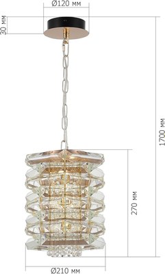 Потолочный светильник ST Luce SL6137.203.01