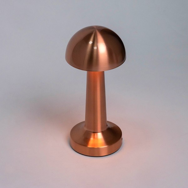 Прикроватная лампа ESCADA 10257/L