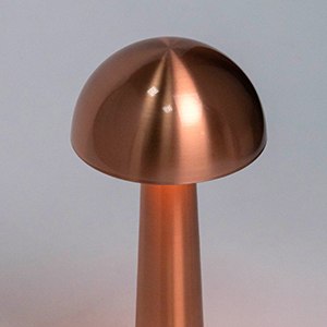 Прикроватная лампа ESCADA 10257/L