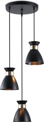 Люстра Ambrella TR8470/3 BK/FGD - фото