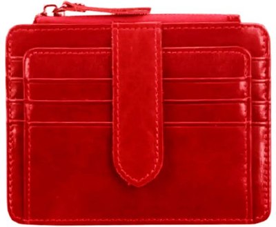 Визитница Ezcase Koloss Meropa / K9.3 - фото