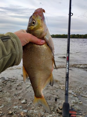 Удилище Волжанка Optima Evo Pro 13ft тест 90+гр / 041-0117