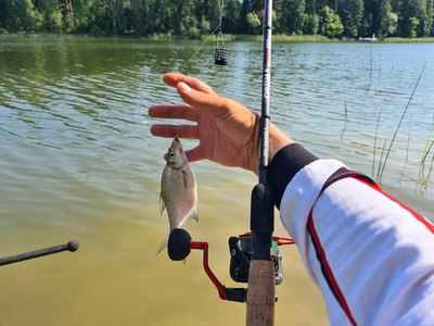 Удилище Волжанка Optima Evo Pro 13ft тест 90+гр / 041-0117