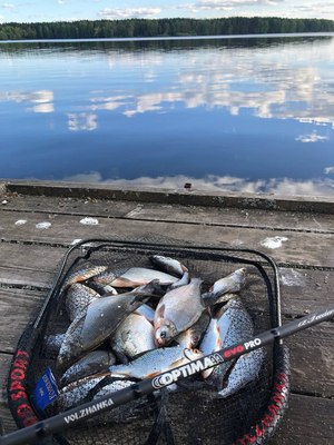 Удилище Волжанка Optima Evo Pro 13ft тест 90+гр / 041-0117