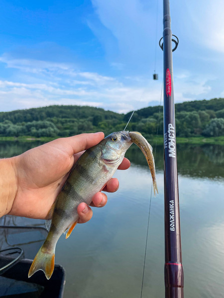 Удилище Волжанка Речной Монстр тест 150+гр / 043-0110