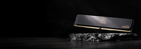 Оперативная память DDR5 Team CTCED532G6000HC30DC01