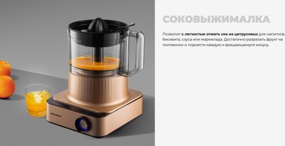 Кухонный комбайн Redmond FP608 (бронзовый)