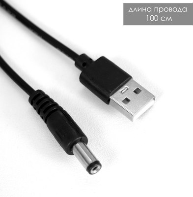 Декоративное освещение Risalux Камин 7895996