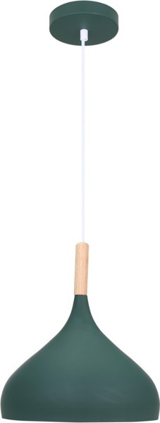 Потолочный светильник Moderli Eline / V11446-1P - фото