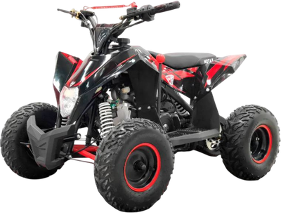 Квадроцикл Motax Gekkon 90 - фото