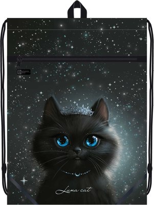 Мешок для обуви Феникс+ Принцесса Луна / 69172 - фото