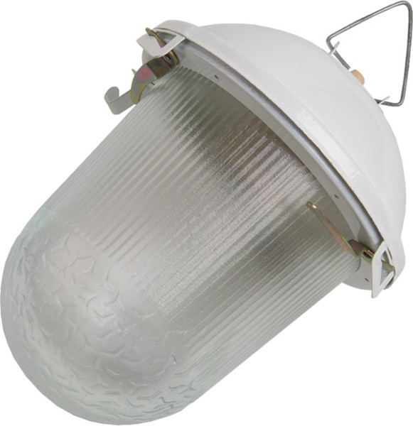 Светильник ЖКХ General Lighting НСП 02-100-001.01 / 437821 - фото