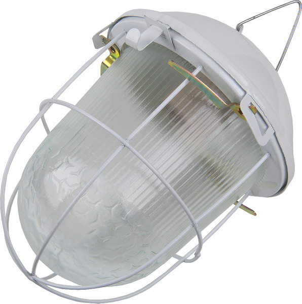Светильник ЖКХ General Lighting НСП 02-100-002.01 / 437822 - фото