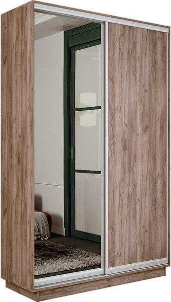 Шкаф-купе ТриЯ Румер-2 СШК 3.120.60-11.13 2-х дверный - фото