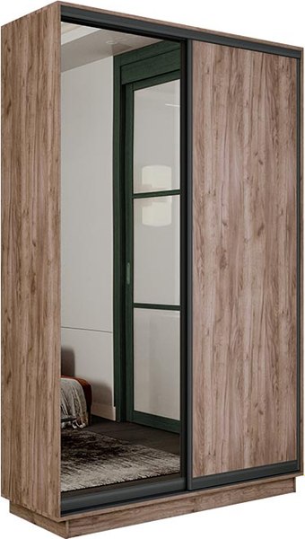 Шкаф-купе ТриЯ Румер-2 СШК 3.120.60-11.13(Н) 2-х дверный - фото