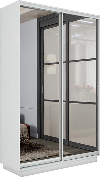 Шкаф-купе ТриЯ Румер-2 СШК 3.120.60-13.13 2-х дверный - фото